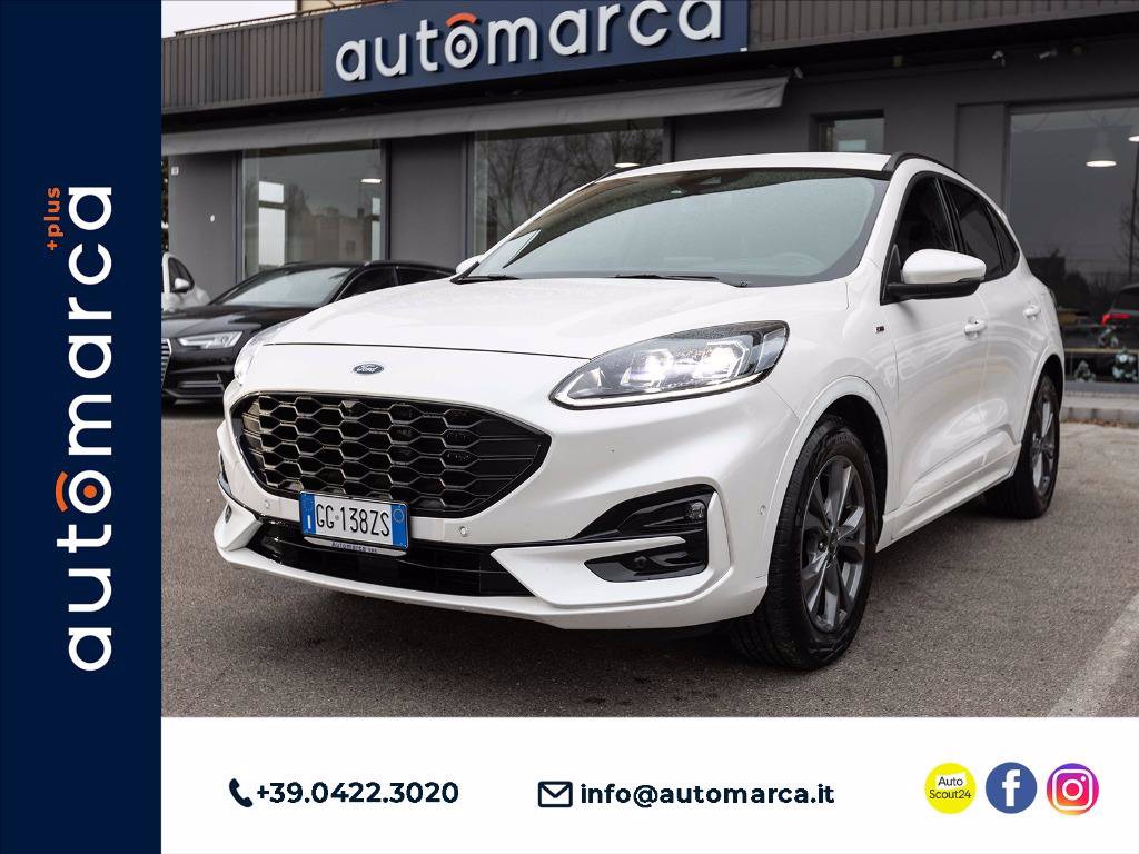 Immagine Auto Usate FORD Kuga