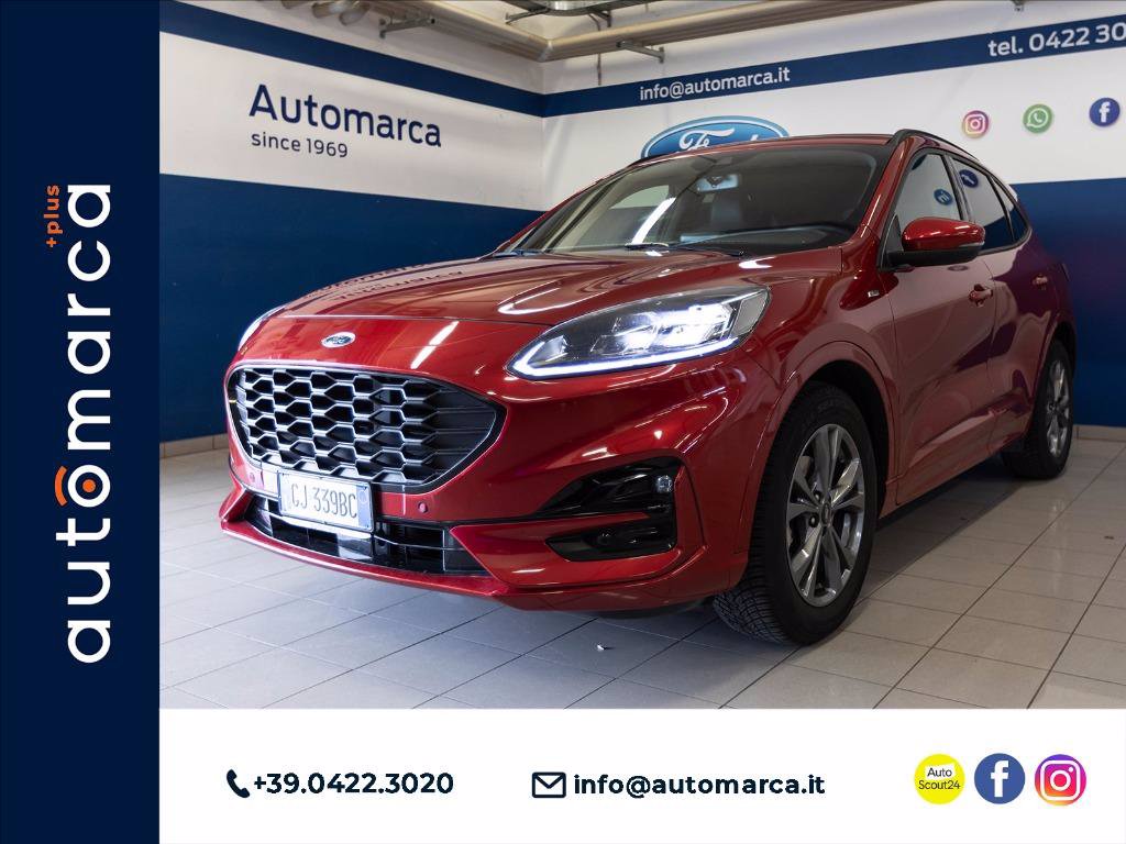 Immagine Auto Usate FORD Kuga