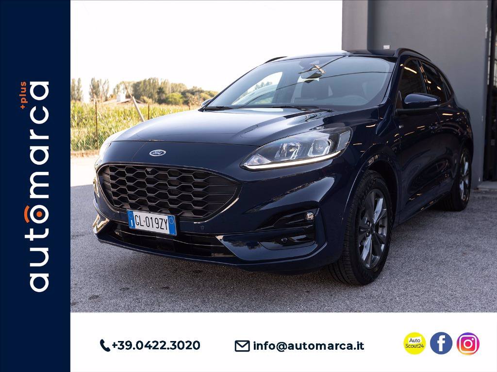 Immagine Auto Usate FORD Kuga