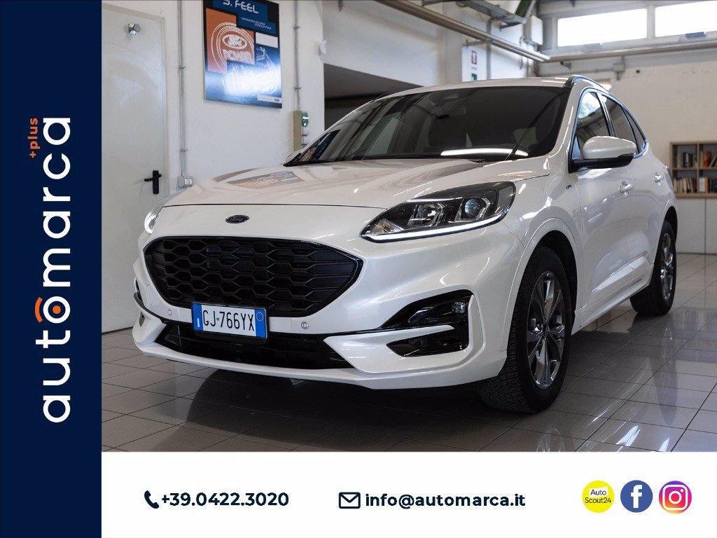 Immagine Auto Usate FORD Kuga