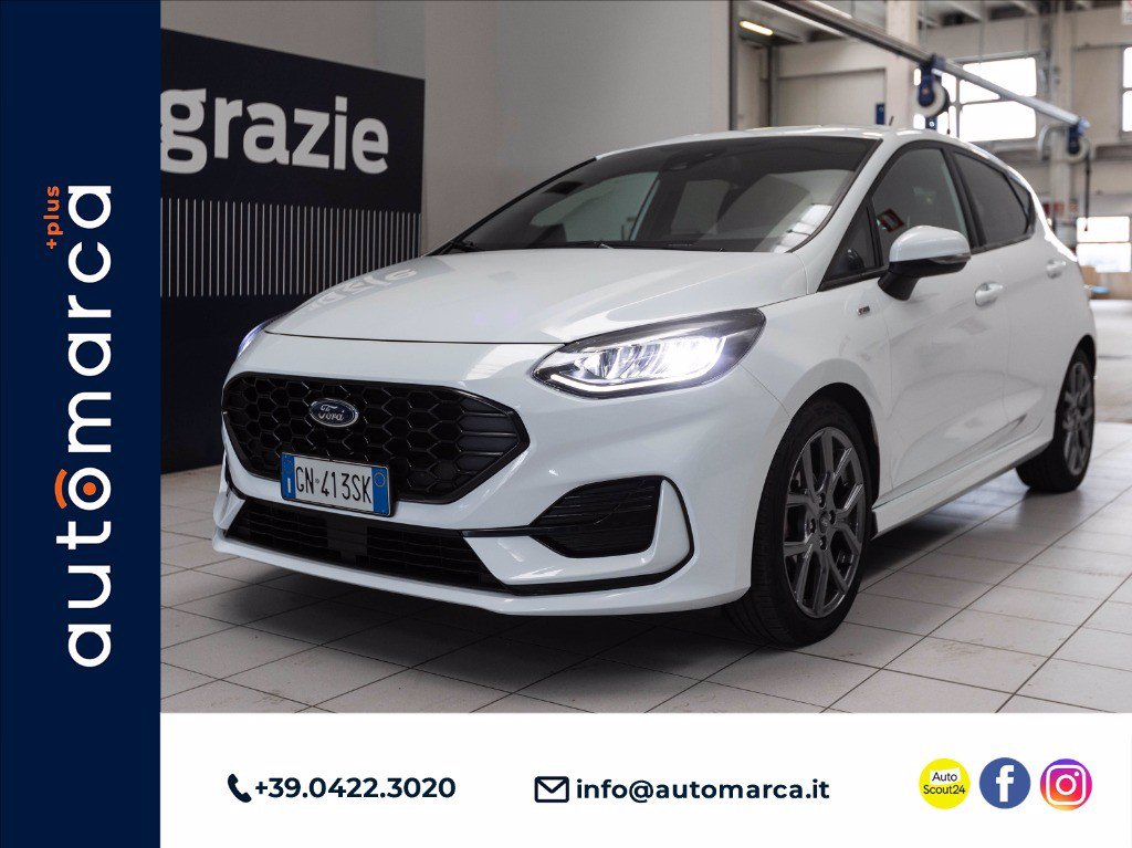 Immagine Auto Usate FORD Fiesta
