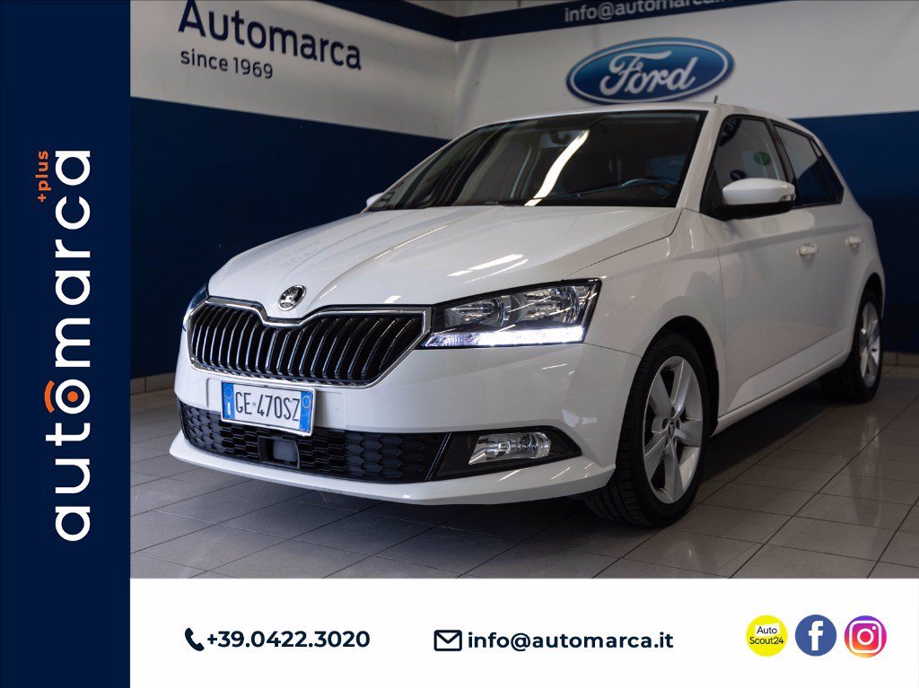 Immagine Auto Usate SKODA Fabia